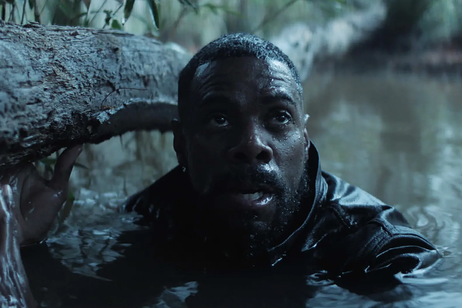 The Madness, PopViewers.com