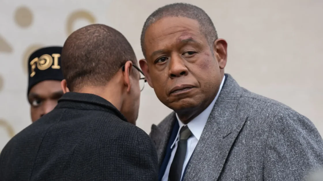 Godfather of Harlem, PopViewers.com