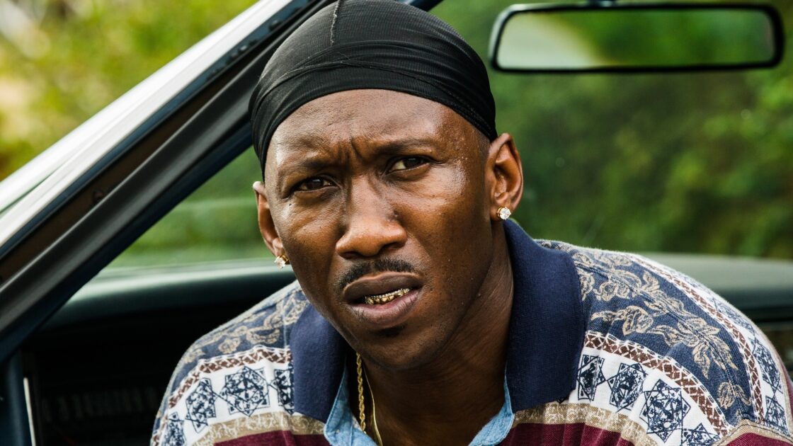 Moonlight, PopViewers.com